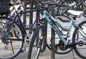 Bikes locked to a bike rack outside the Fountains dorms at UNF.